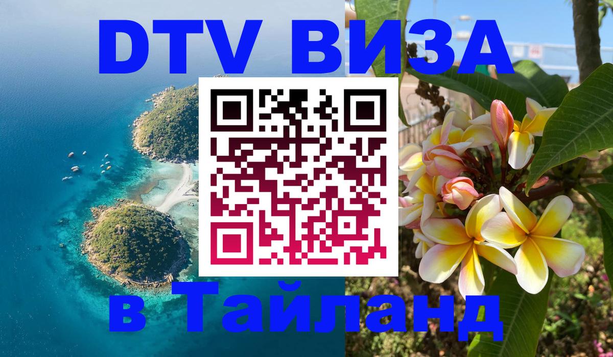 Оформление DTV визы под ключ: стоимость и тарифы, только загранпаспорт - 05.10.2025 